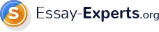 Essay experts