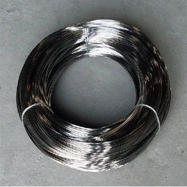 Stainless Steel 317317L Wires