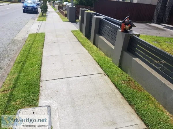 Lawn Mowing Services in Toronto  Mownow.ca