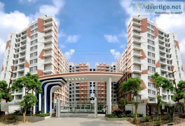 R G Euphoria  A Piece of luxury you can now afford