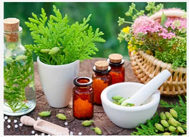 Multi-specialty Homeopathic Online Clinic
