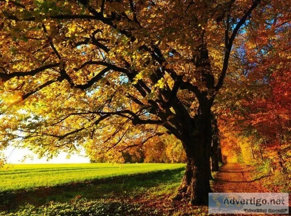 Hillcrest Funerals and Cremation