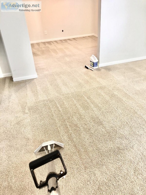 Carpet Cleaning - Pet Odor Removal