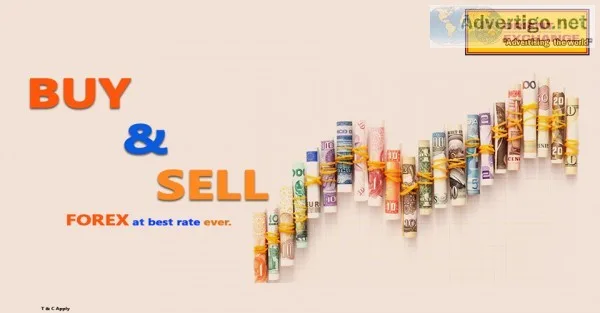 Travel Card Currency Notes to Carry Money Abroad