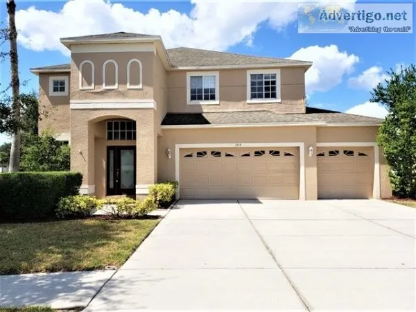 WELCOME TO 1519 Swamp Rose Lane Trinity FL
