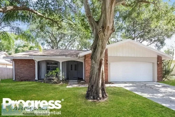 2431 Grove Ridge Dr Palm Harbor FL