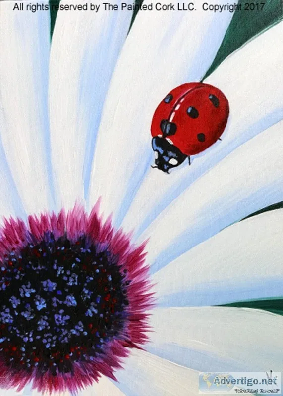 IN STUDIO CLASS  Folsom Studio 616 Lady Bug  SUMMER SPECIAL  10 