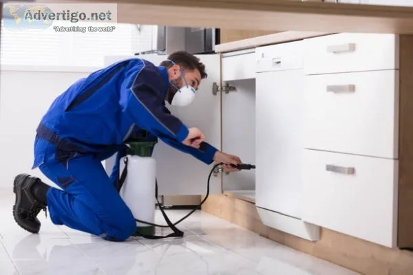 Avail Top Best Pest Control Service In Arlington
