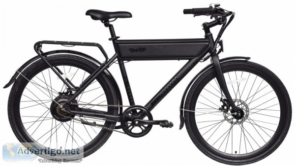 Best Budget Electric Bike  Electric Transport