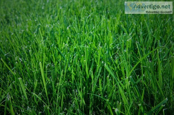 lawn service near me  emeraldlawncareinc.c om