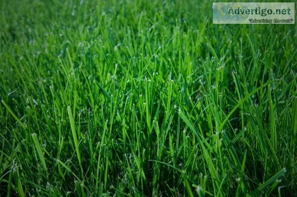 lawn service near me  emeraldlawncareinc.c om