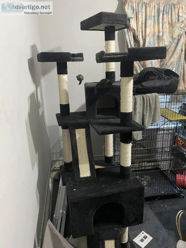 72&rdquo cat tower with scratch post