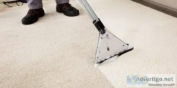 Carpet Cleaning Services in Adelaide