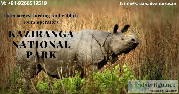 wildlife and birding tours kaziranga