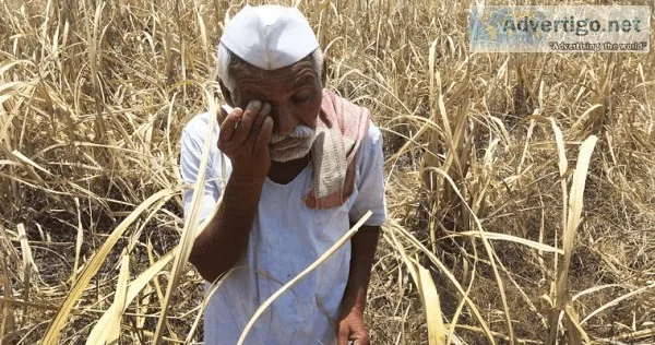 Agricultural Development Projects in India