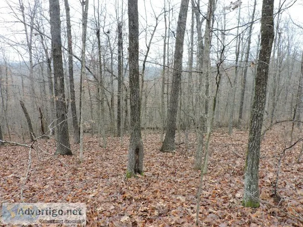 Peebles Bluff Road-Sharp County AR