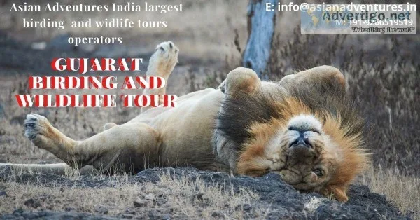 Birding Tours Gujarat