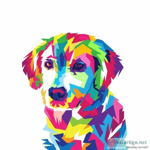 Looking for puppieskitten good prices
