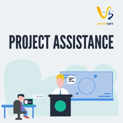 Project service by vertexsoft