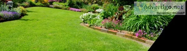For Artificial Grass Installation in Hertfordshire - Hire us Tod