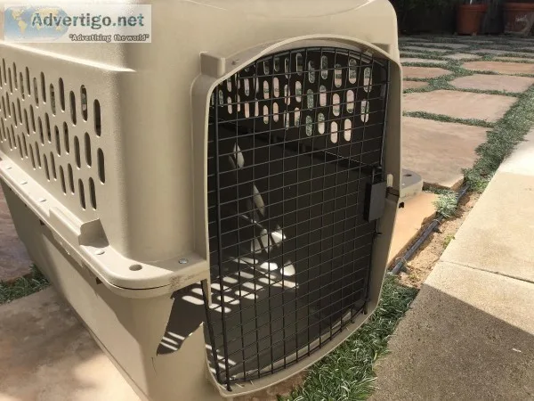 Dog Crate