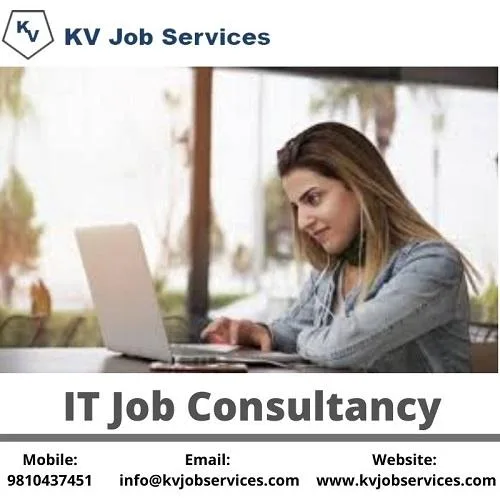 IT Job Consultancy in Noida