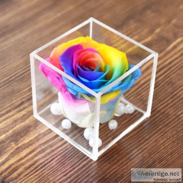 Real Preserved Forever Rainbow Rose