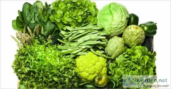 San Diego Farmers Outlet &ndash The Name you can Lean on