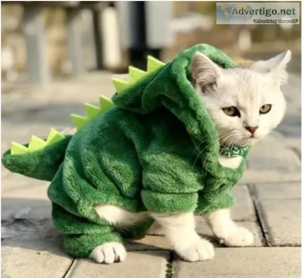 Costumes pet hoodie