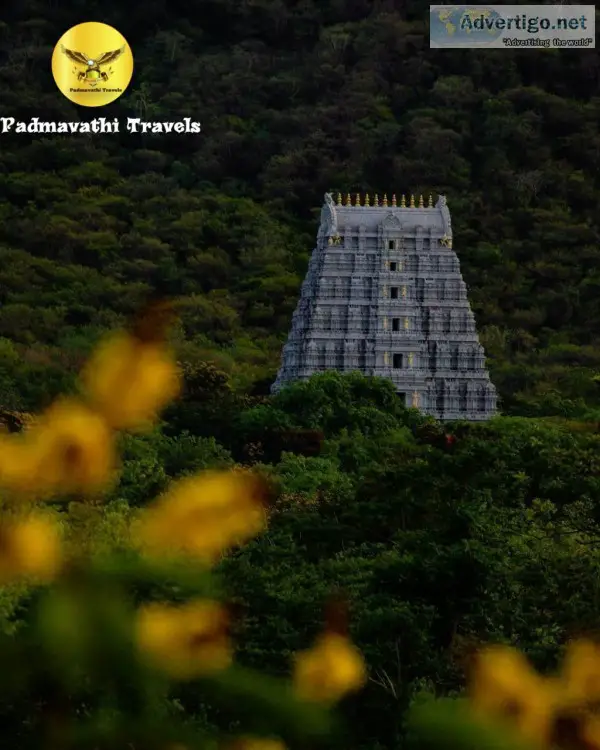One day package from chennai to tirupati