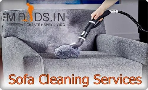 Best Sofa Cleaning at Home with The Maids Team