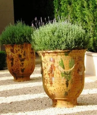 Pots for Plants