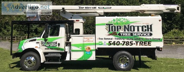 Get The Best Tree Removal Service In Fredericksburg