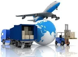 AIR INDIA CARGO AGENT