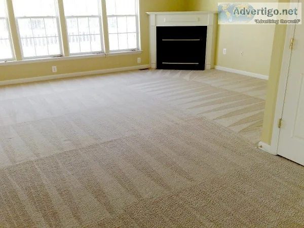 Marshall s Carpet Cleaning