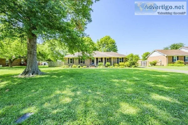 Beautifully renovated home and beautiful mature trees