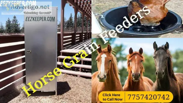 Where Can I Find the Best Slow Hay Feeder for Horses