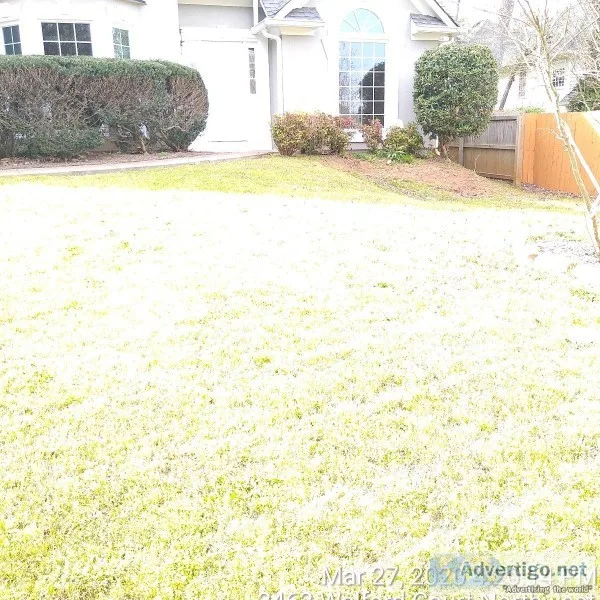LAWN CARE