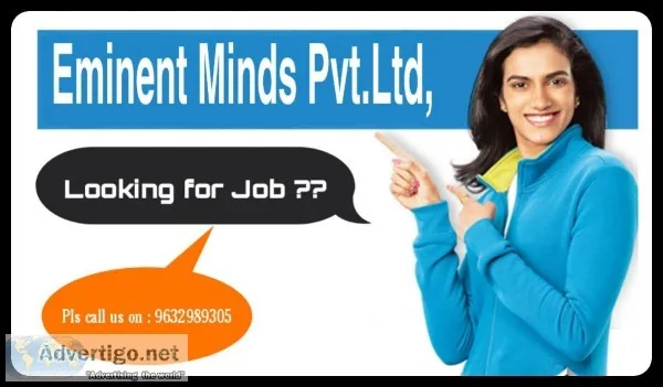 SK is Hiring for Work From Data entry