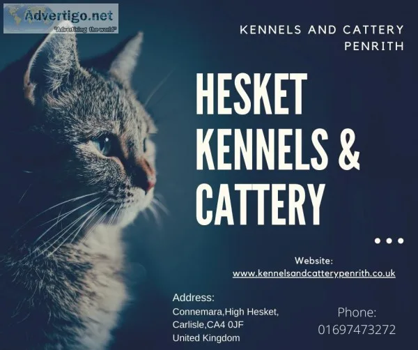 Kennels And Cattery Penrith-Hesket Kennels and Cattery