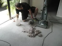 Pest Control Auckland North Shore - Ph.No. 0800 692 533