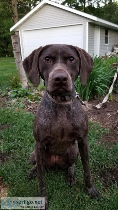 GSP