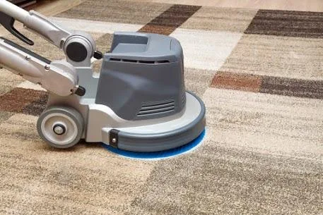 Looking for experienced and professional carpet cleaners