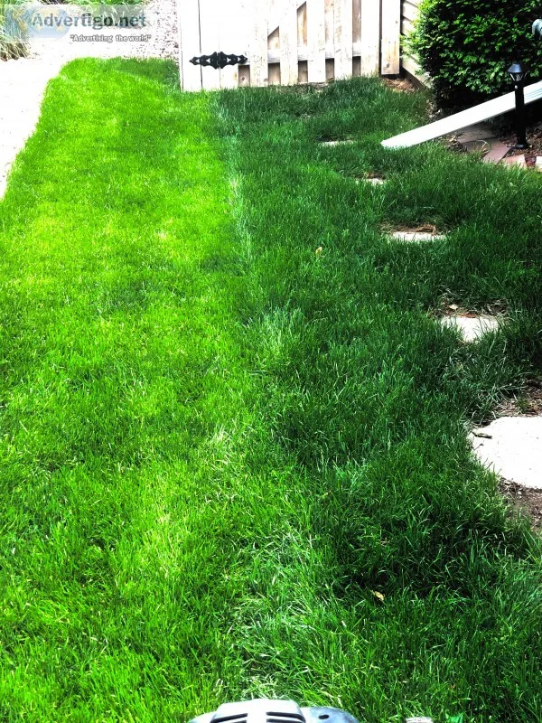 Lawn care service