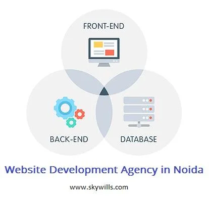 Website development agency in Noida