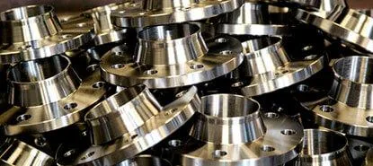 Stainless Steel 316316L316H316LN Flanges