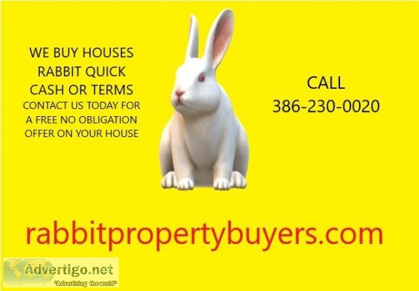 RABBIT BUYS VOLUSIA COUNTY HOUSES