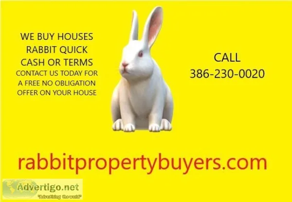 RABBIT BUYS VOLUSIA COUNTY HOUSES