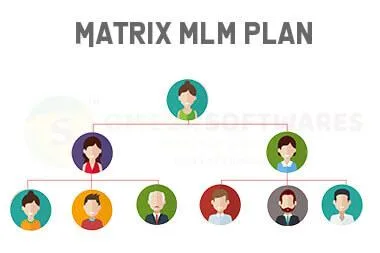 Best Matrix MLM Plan Software Provider in Delhi at affordable pr