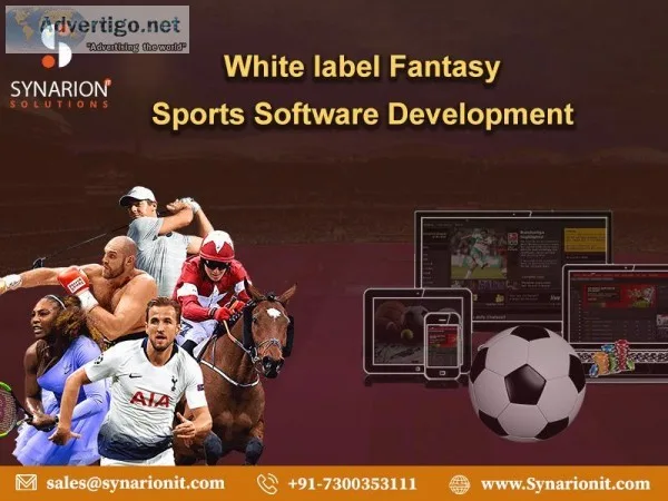 White label Fantasy Sports Software Development
